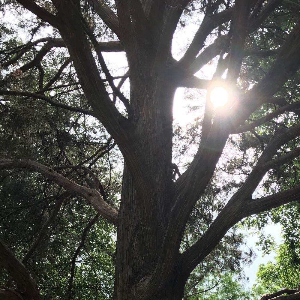 Meet your Posher, Tuzdea